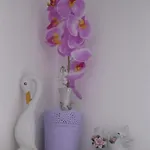 Nera Apartment Tisno