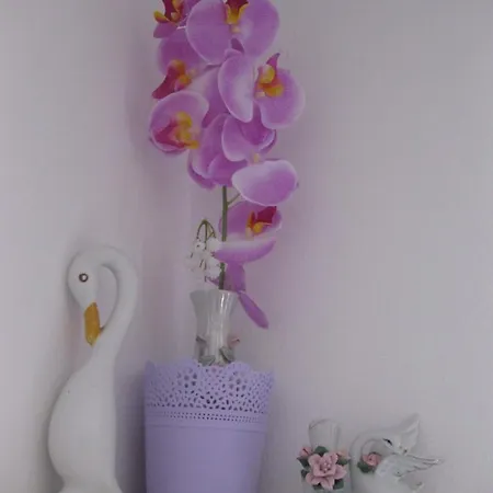 Nera Apartamento Tisno