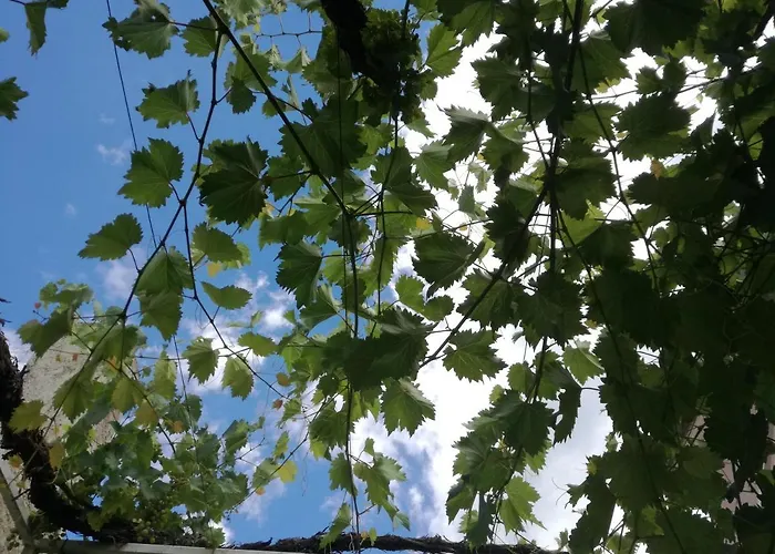 Nera Apartment Tisno