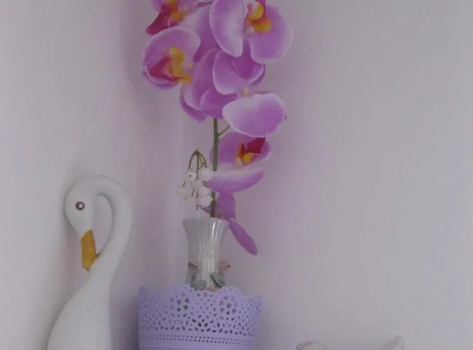 Nera Apartment Tisno